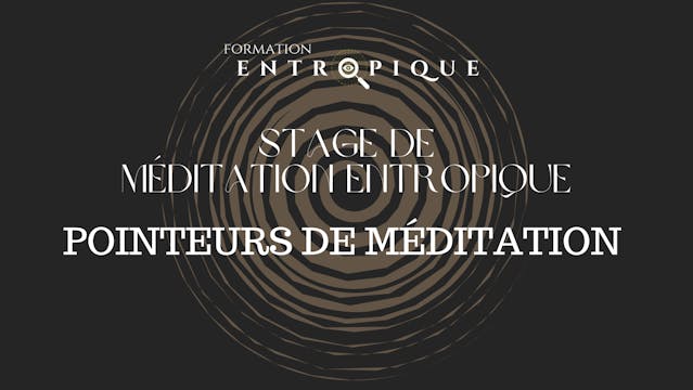 Pointeurs de Méditation // Stage de M...