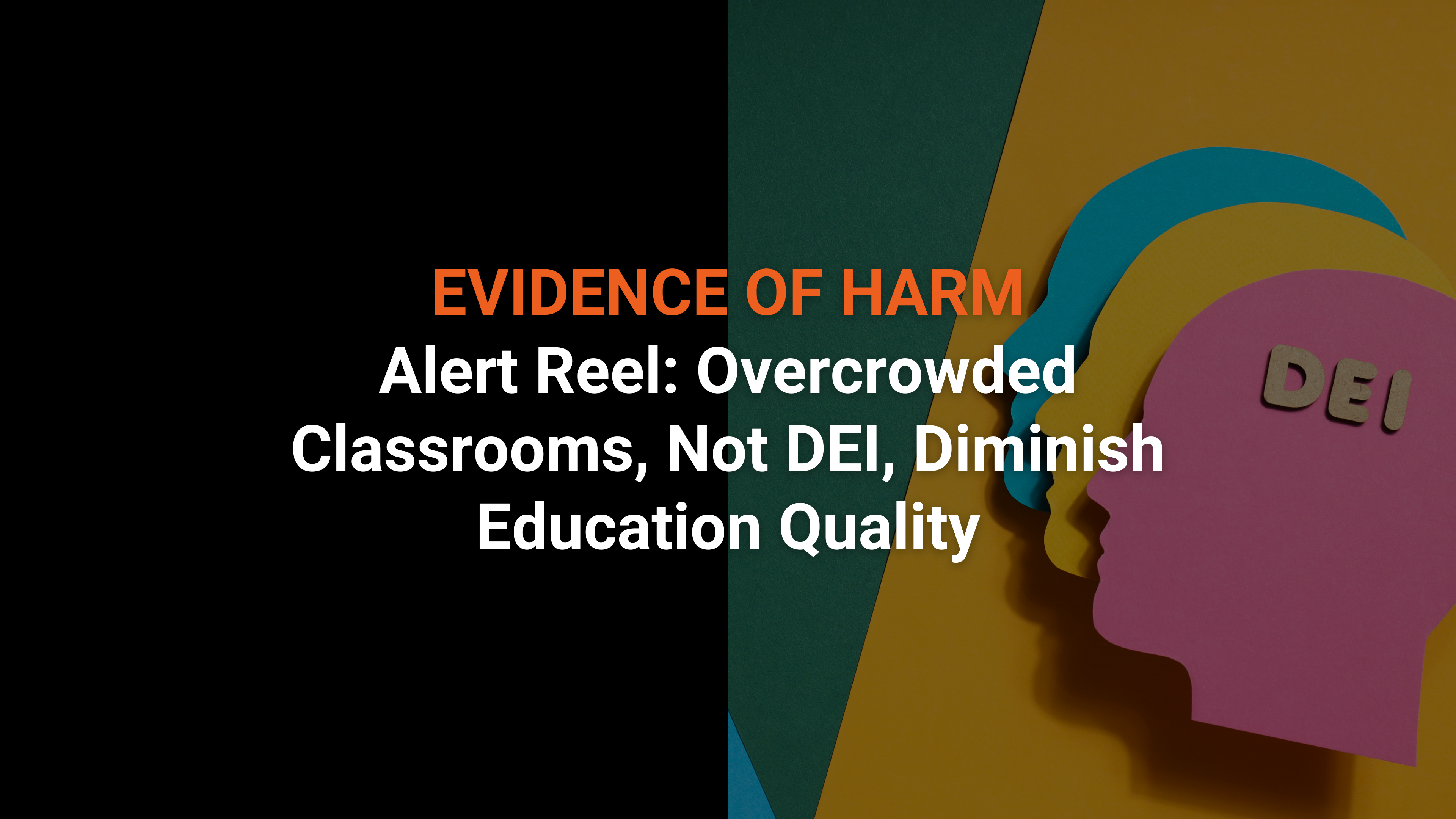 Alert Reel: Overcrowded Classrooms, Not DEI, Diminish Education Quality