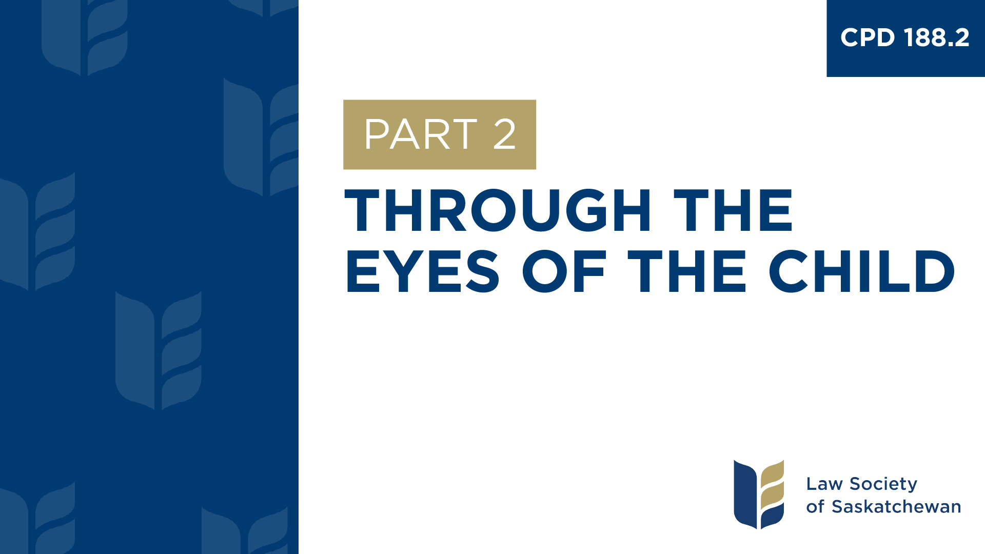 CPD 188 - Through the Eyes of the Child (Part 2)