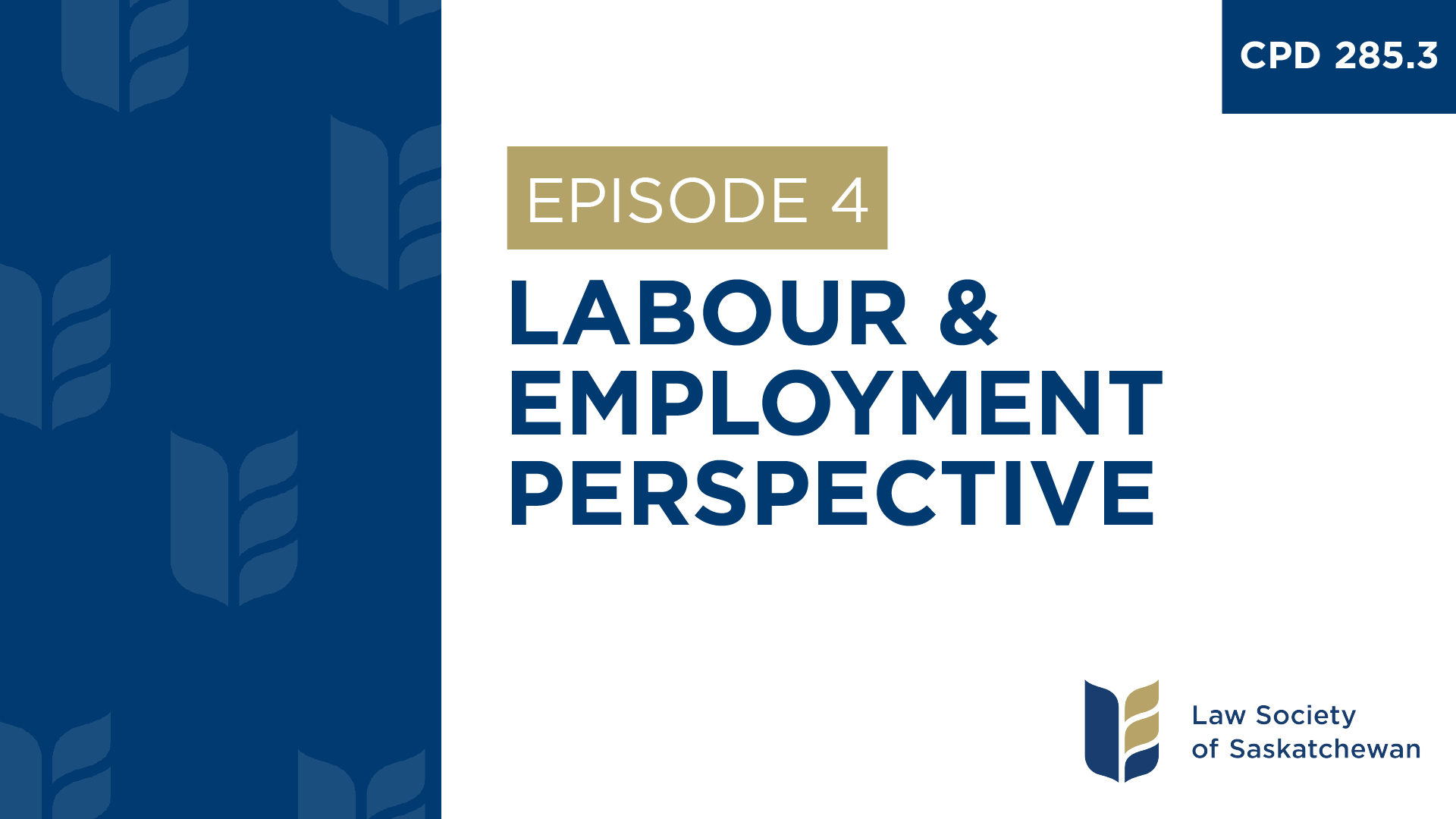 [E4] Labour & Employment Perspective (CPD 285.4)