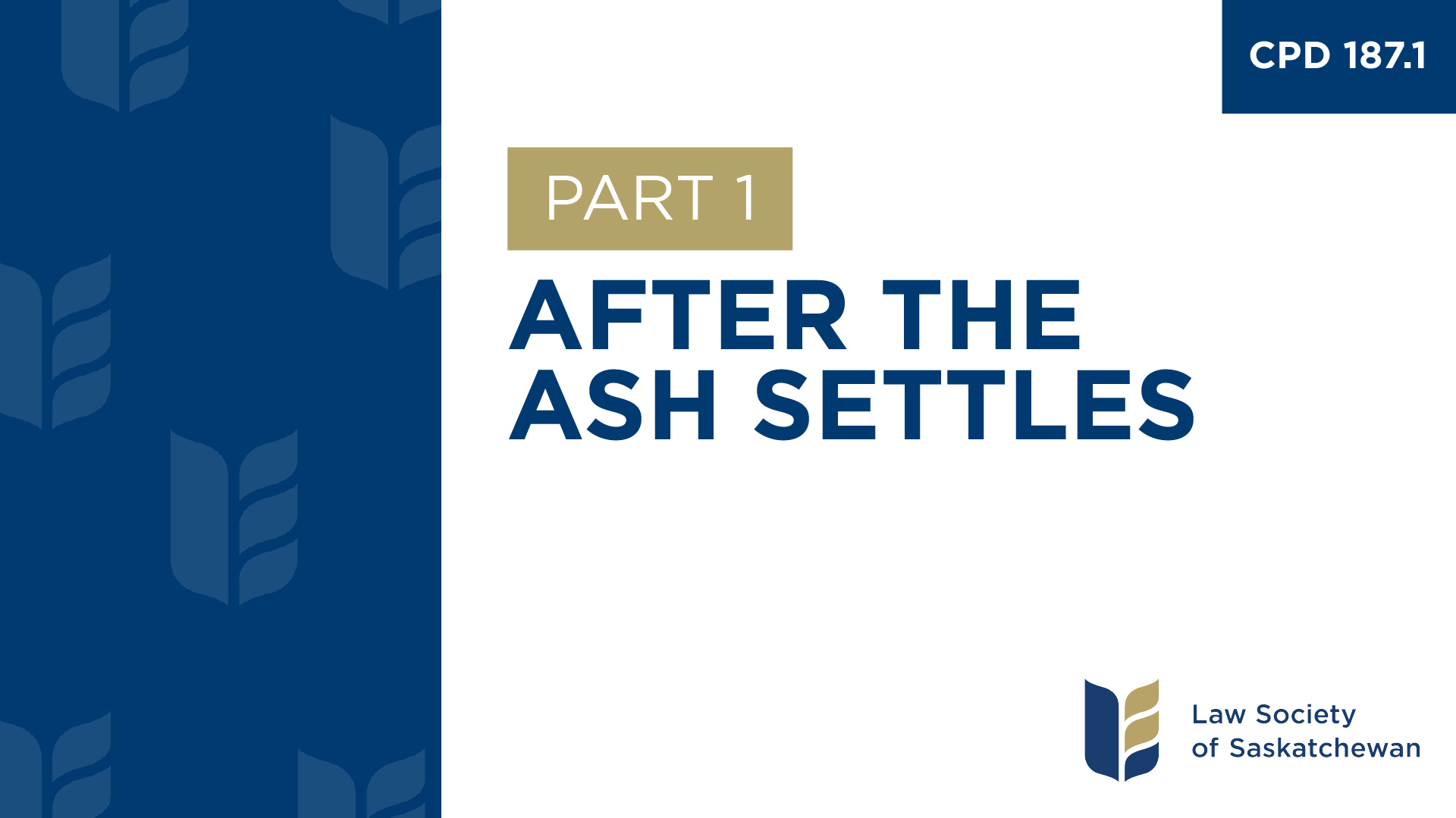 CPD 187 - After the Ash Settles