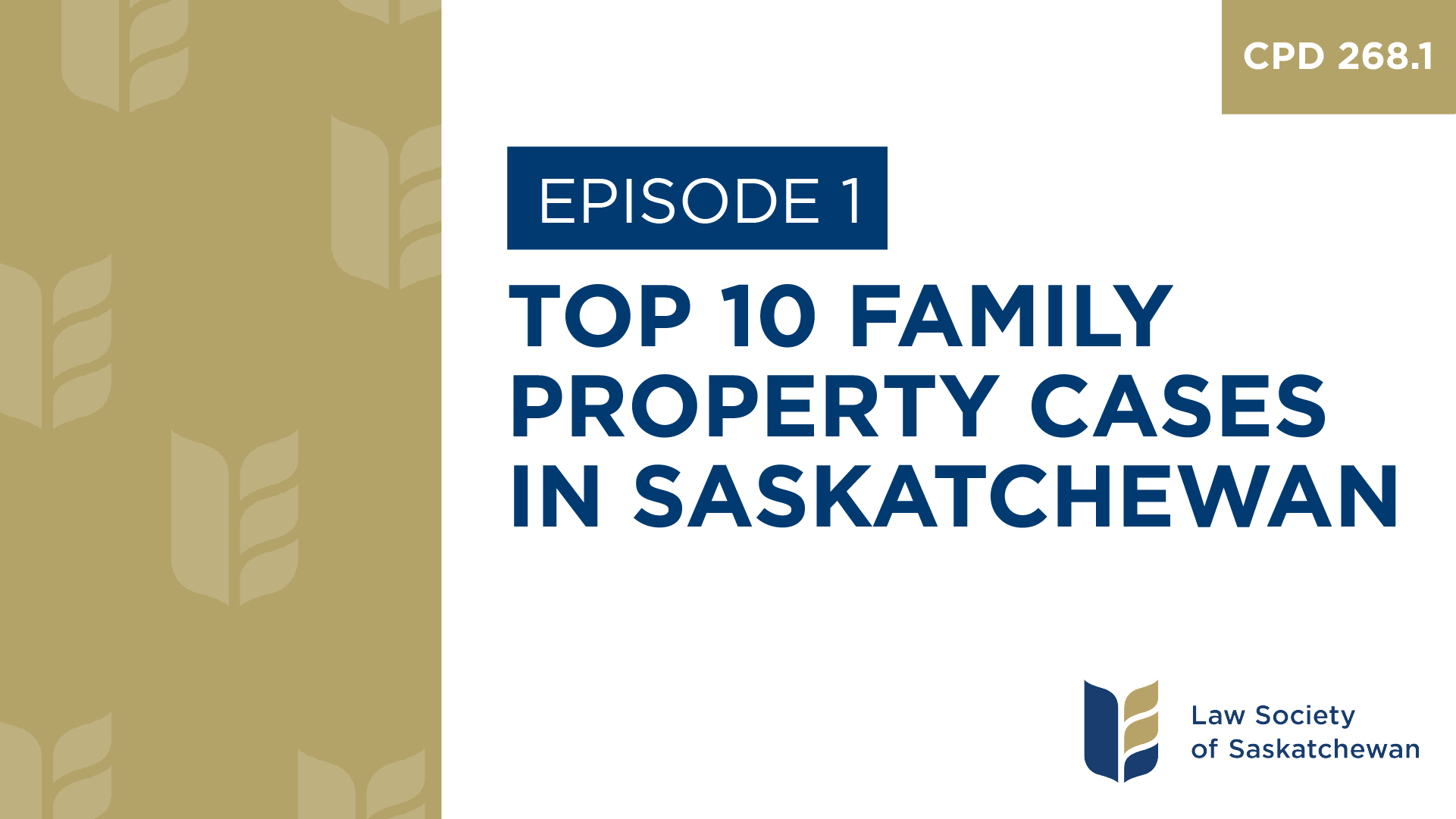 [E1] Top 10 Family Property Cases in Saskatchewan (CPD 268.1)