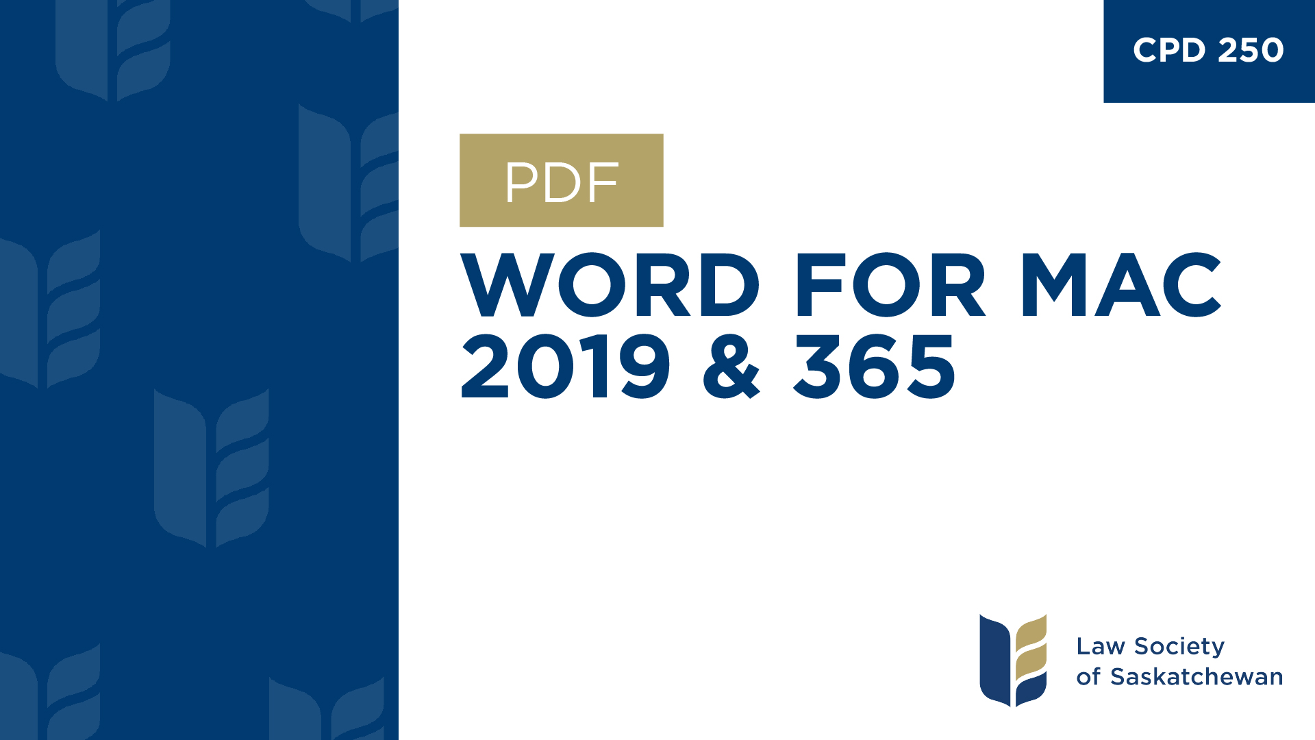 CPD 250 - Affinity-Consulting-Word-for-Mac-2019 and 365.pdf