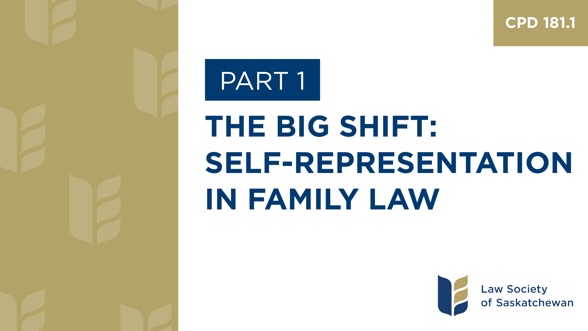 CPD 181 - Responding to Increasing Self-Representation in Family Law (Part 1)