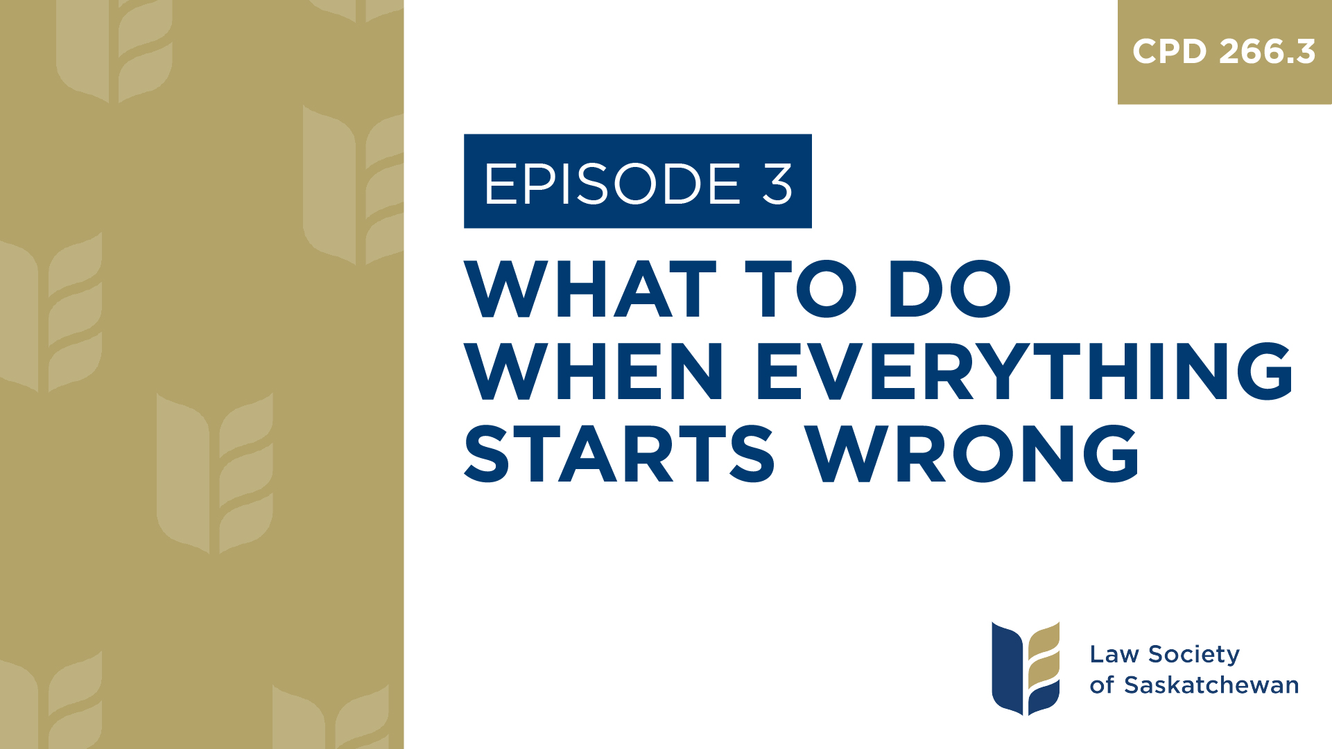[E3] What to Do When Everything Starts Wrong (CPD 266.3)