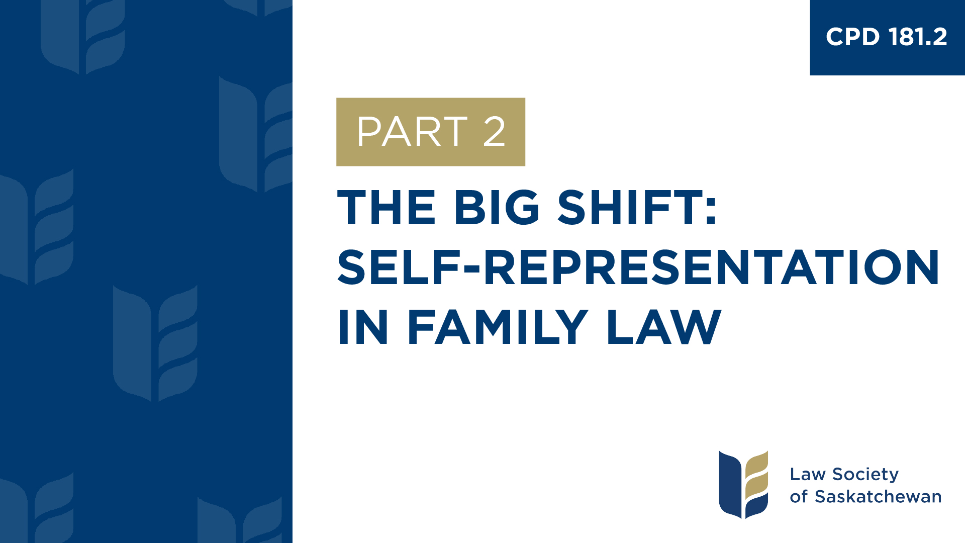 CPD 181 - Responding to Increasing Self-Representation in Family Law (Part 2)