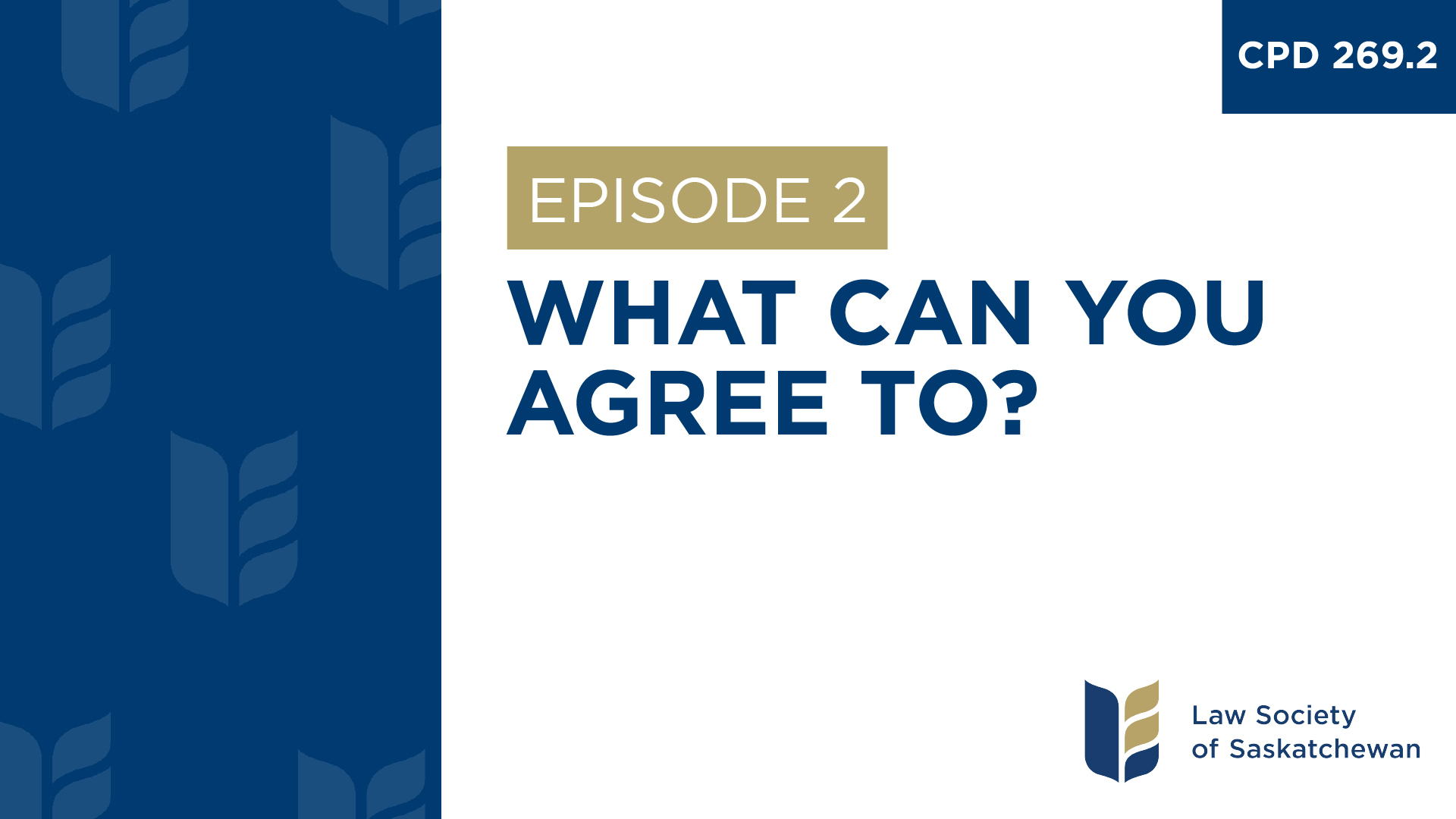 [E2] What Can You Agree To? (CPD 269.2, Financing a File Series)