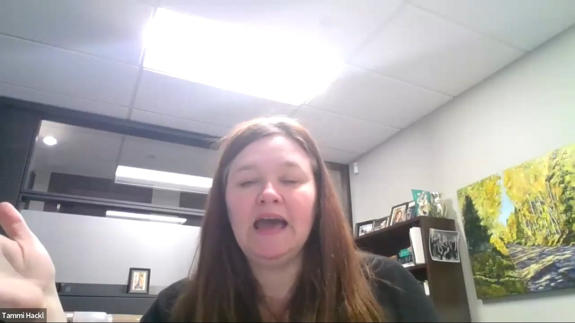 CPD 393 - Calculating Income for Child Support – Top Ten Cases