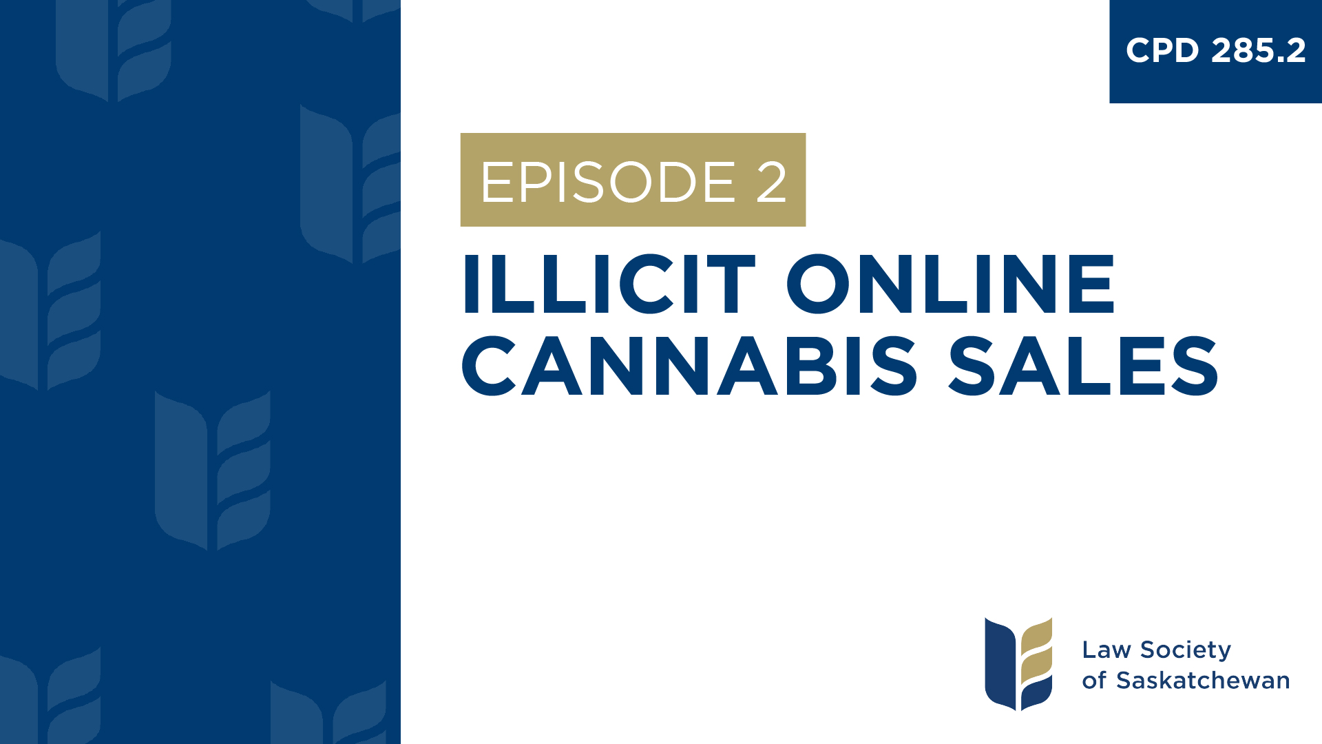 [E2] Illicit Online Cannabis Sales (CPD 285.2)