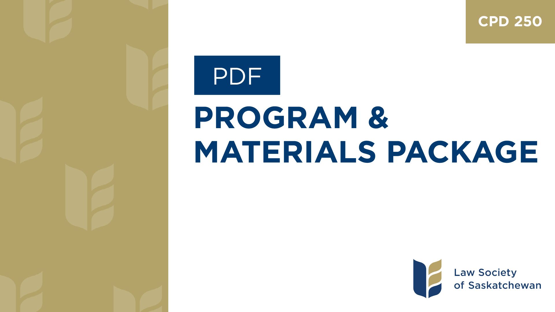 CPD 250 - Technology Academy with Barron-Henley - Program & Materials Package