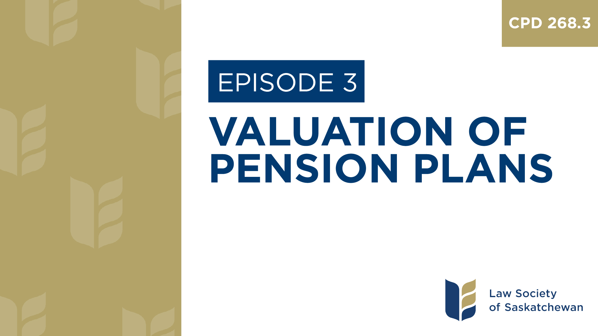 [E3] Valuation of Pension Plans (CPD 268.3)