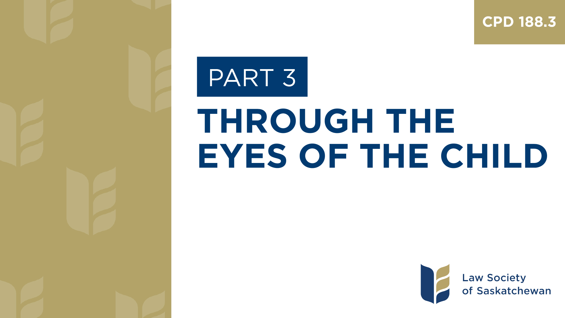 CPD 188 - Through the Eyes of the Child (Part 3)