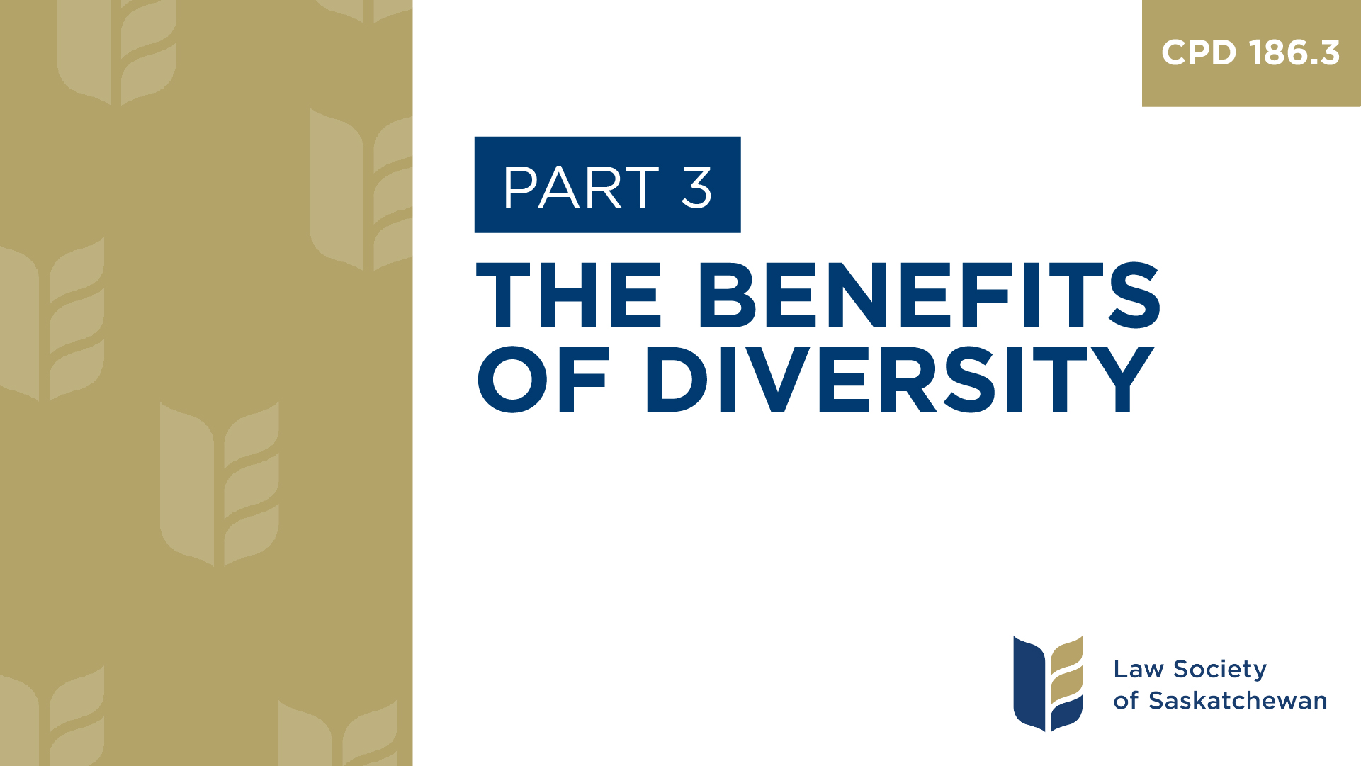 CPD 186 - The Benefits of Diversity (Part 3)