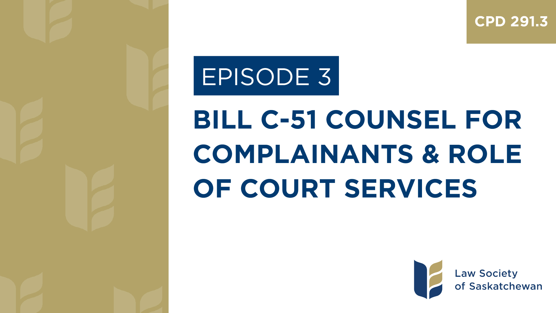 [E3] Bill C-51 Counsel for Complainants & Role of Court Services (CPD 291.3)
