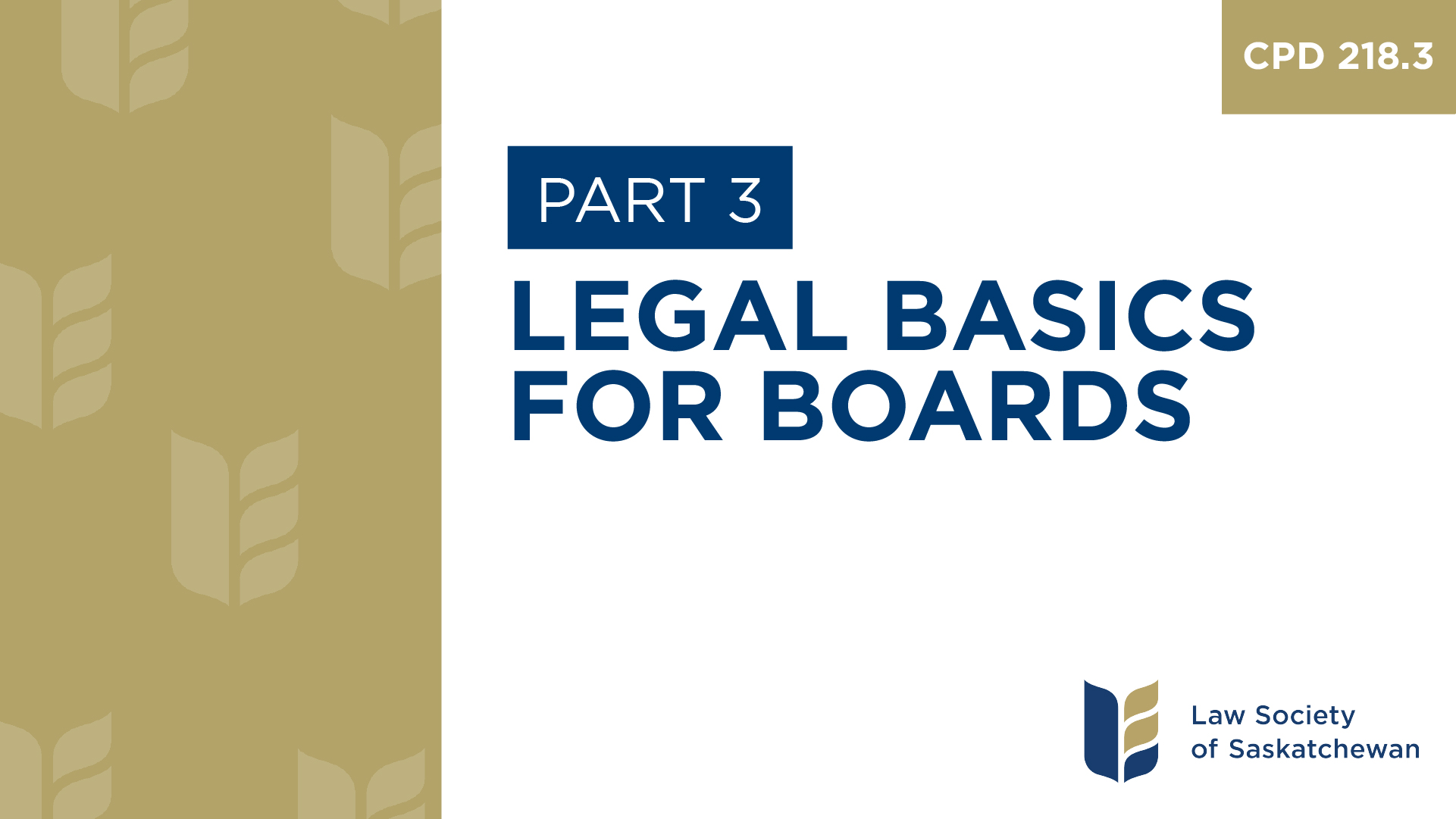 CPD 218 - Legal Basics for Boards (Part 3)