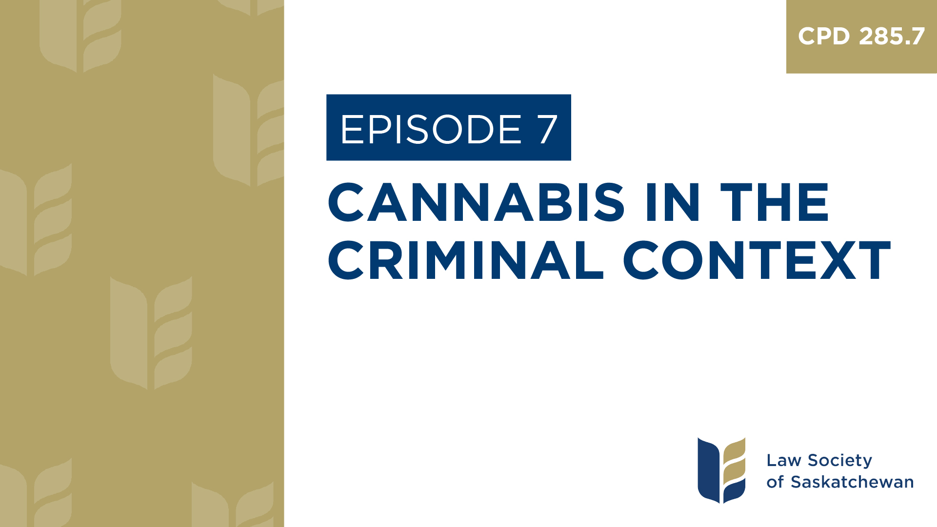 [E7] Cannabis in the Criminal Context (CPD 285.7)