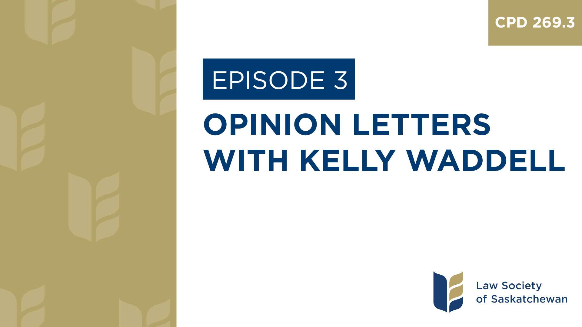 [E3] Opinion Letters (CPD 269.3, Financing a File Series)
