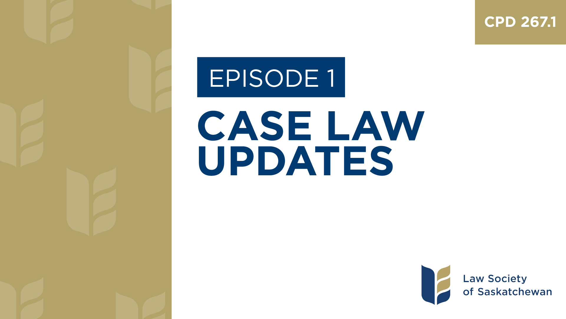 [E1] Case Law Updates on Law Pertinent to Industry in Saskatchewan (CPD 267.1)