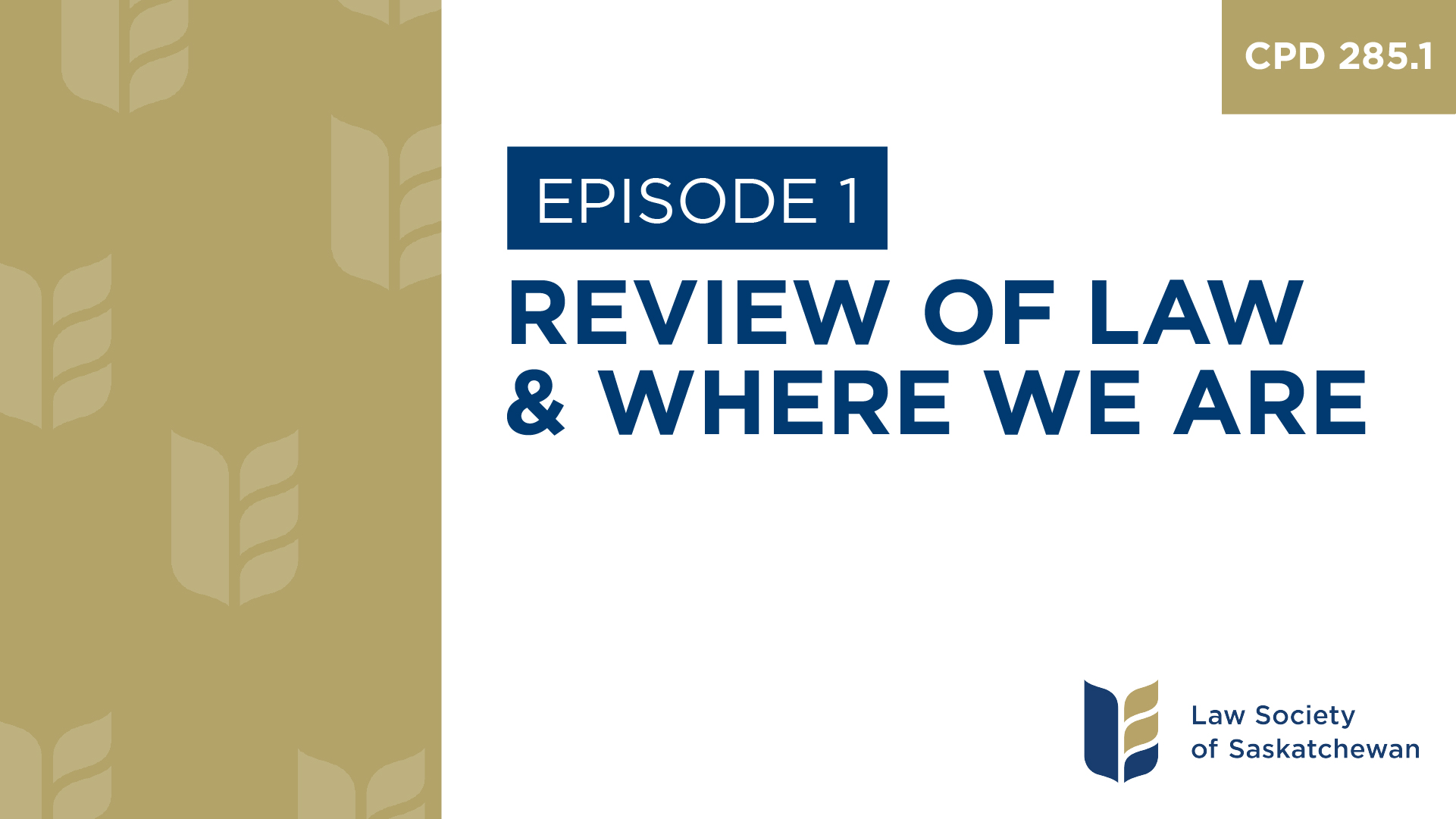 [E1] Review of Law and Where We Are (CPD 285.1)