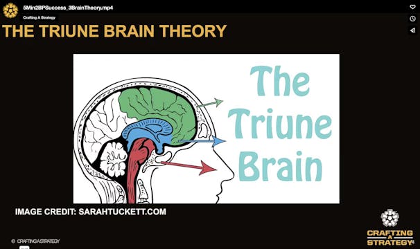 Buyer Behavior: The 3-Brain Theory