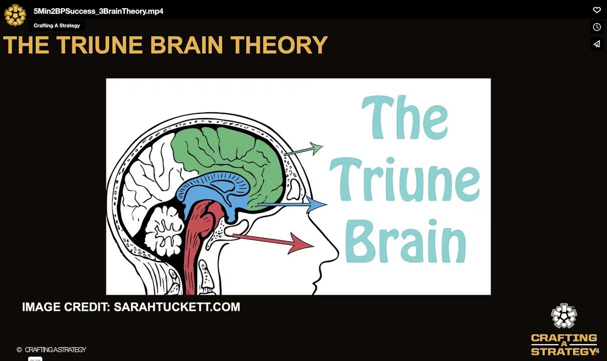 Buyer Behavior: The 3-Brain Theory