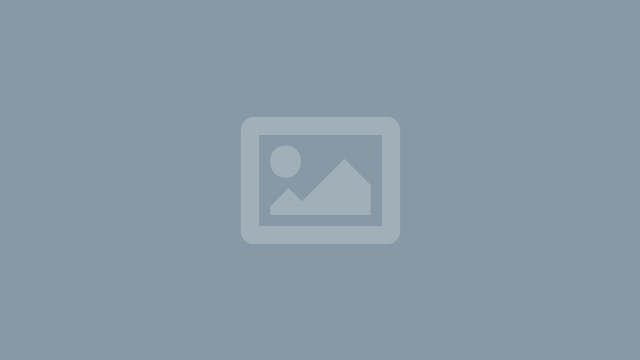 24 HOUR TEST STREAM