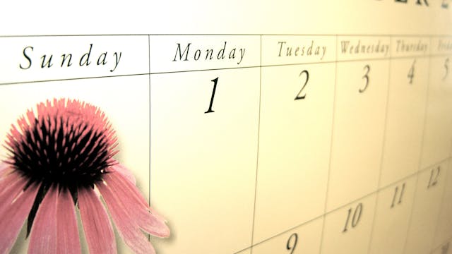 Days Of The Week