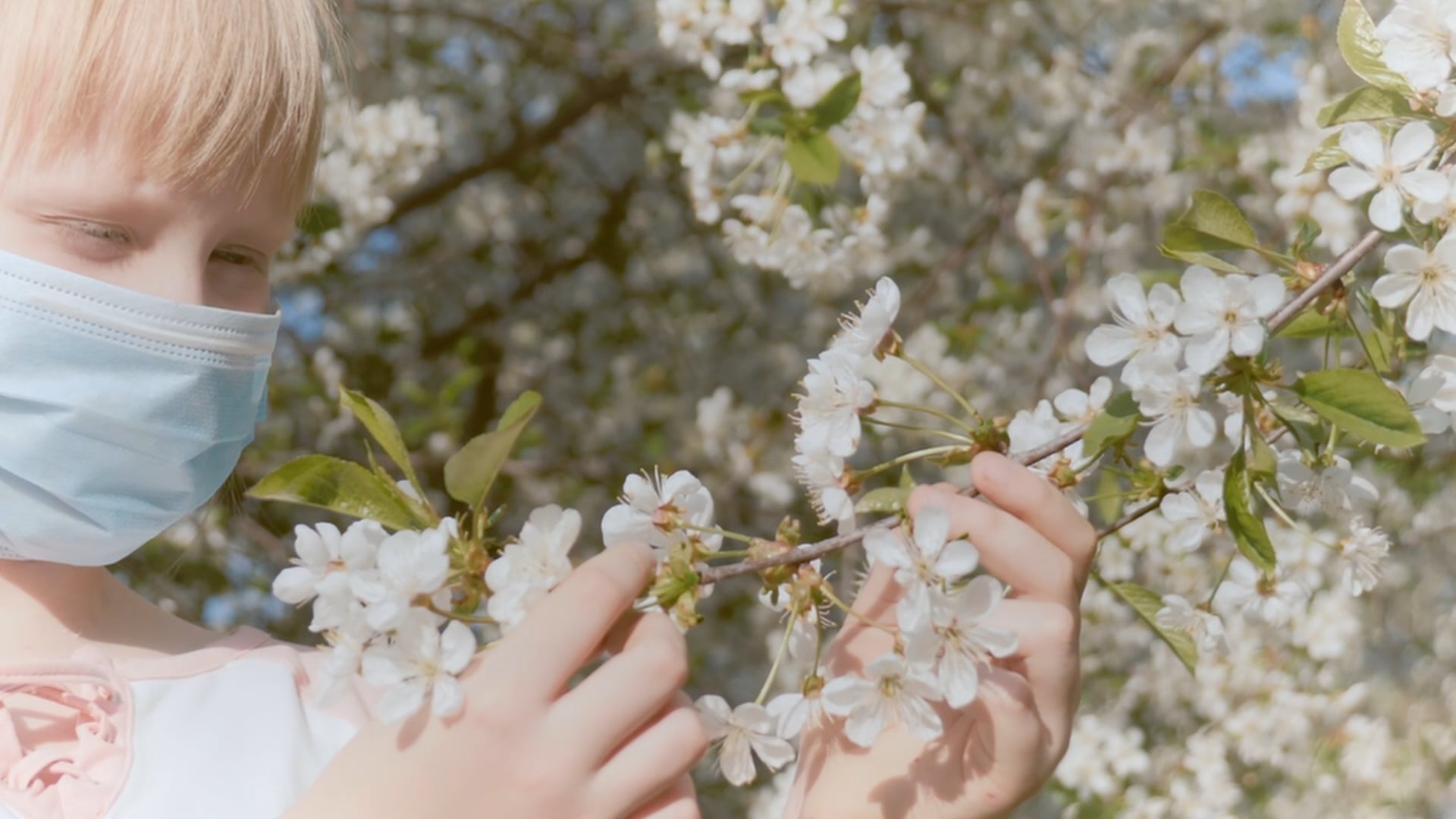 Many Things Are Different But Some Things Are The Same