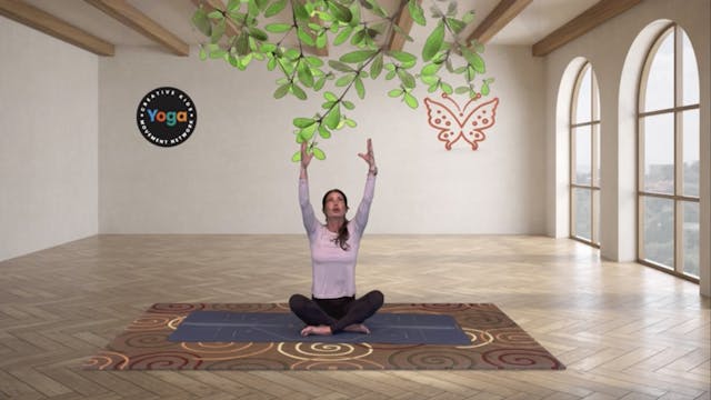 Butterfly's Big Journey