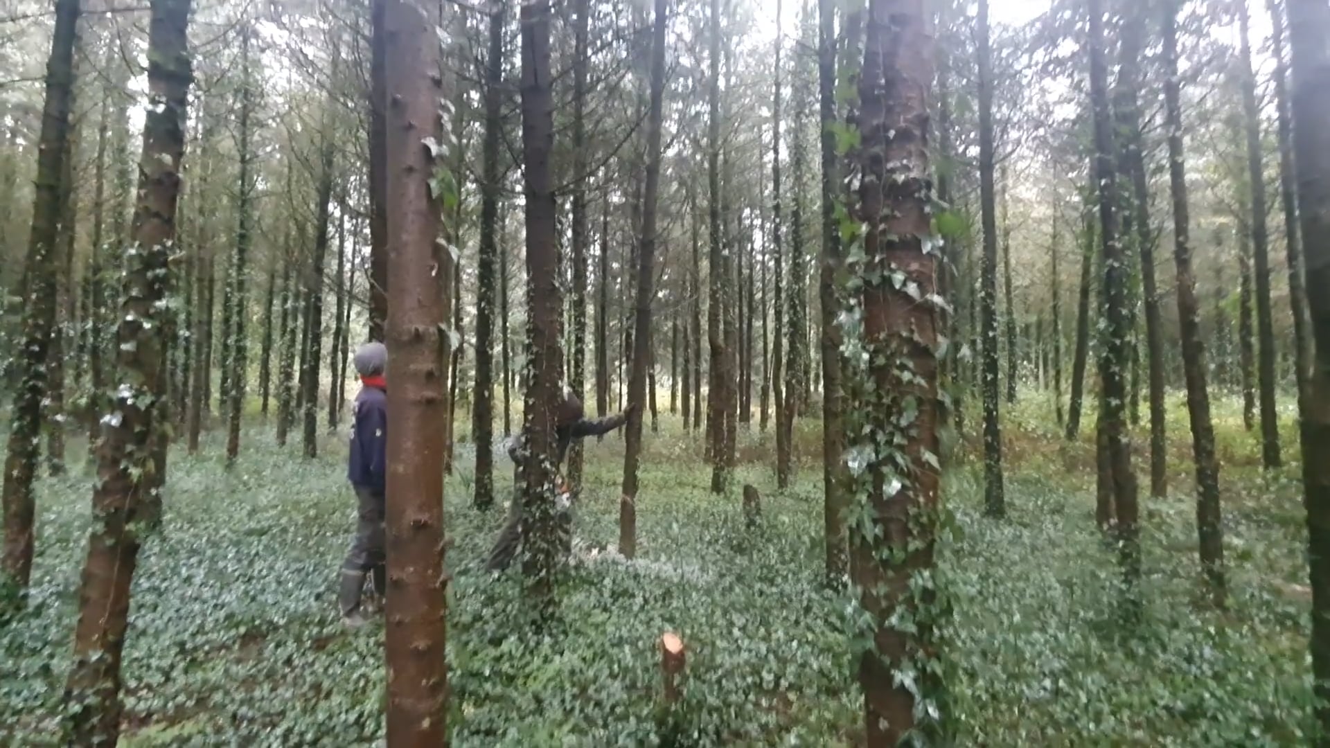 S1E24 Christmas is Here!