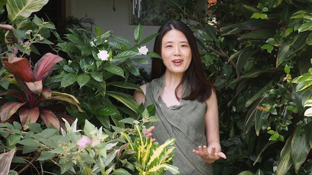 S1E7 SUPER LUSH Tropical Garden