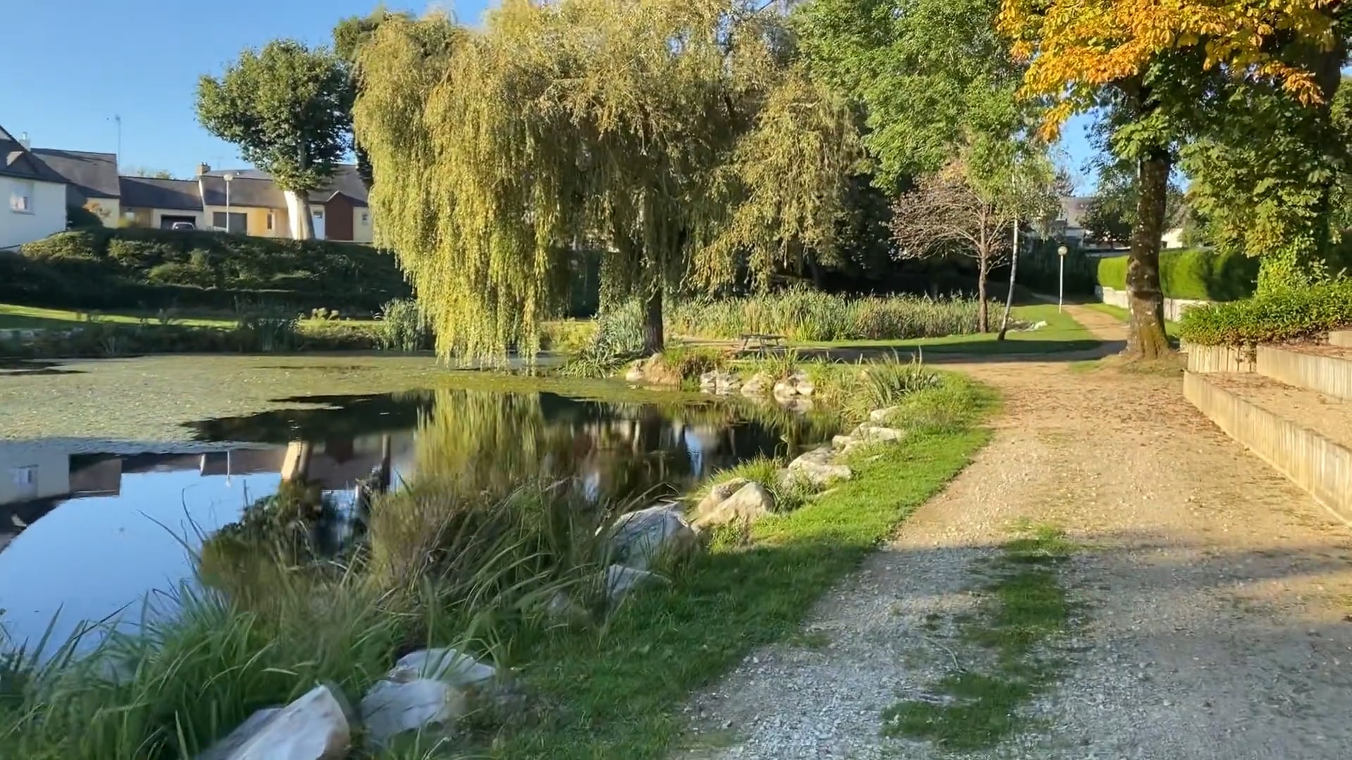 S1E12 Exploring the Historic Chateau and Its Community