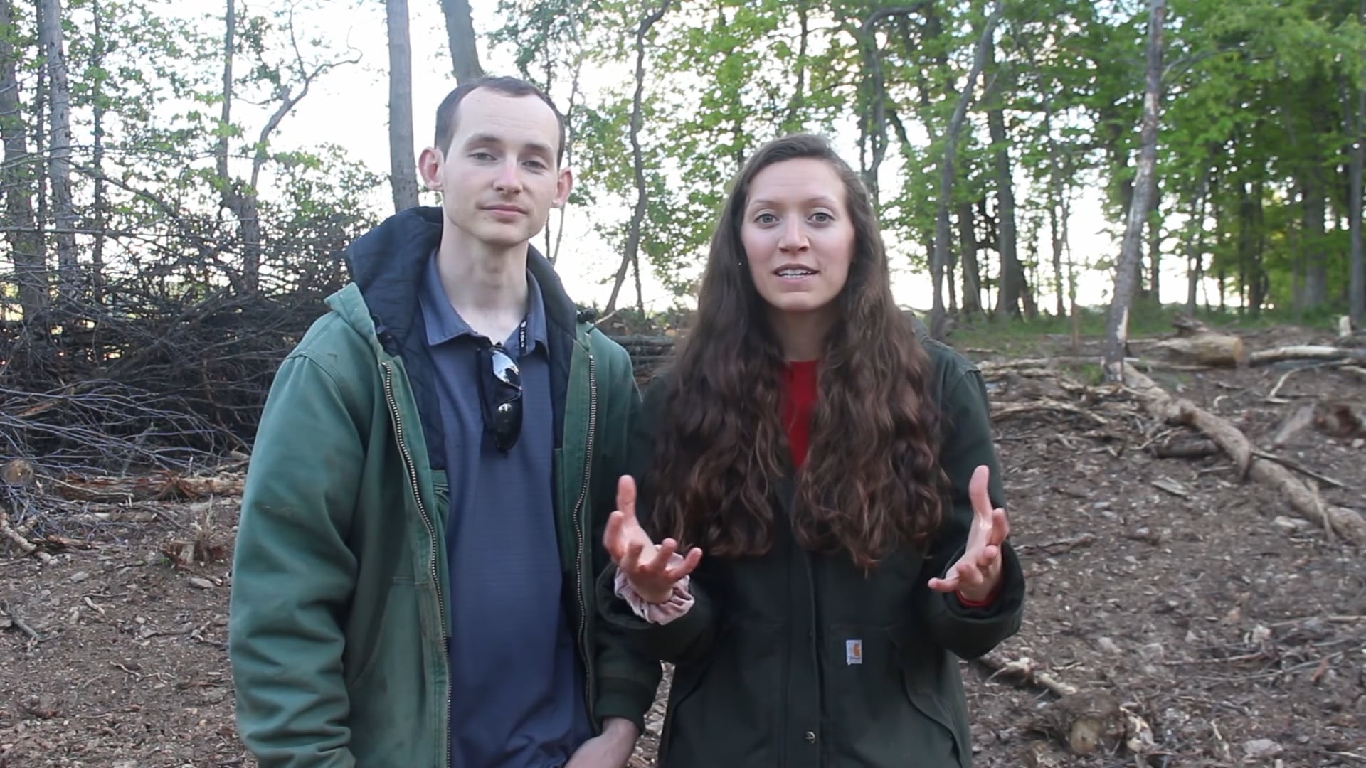 S1E6 Harvesting Our Timber During Lumber Market Spike