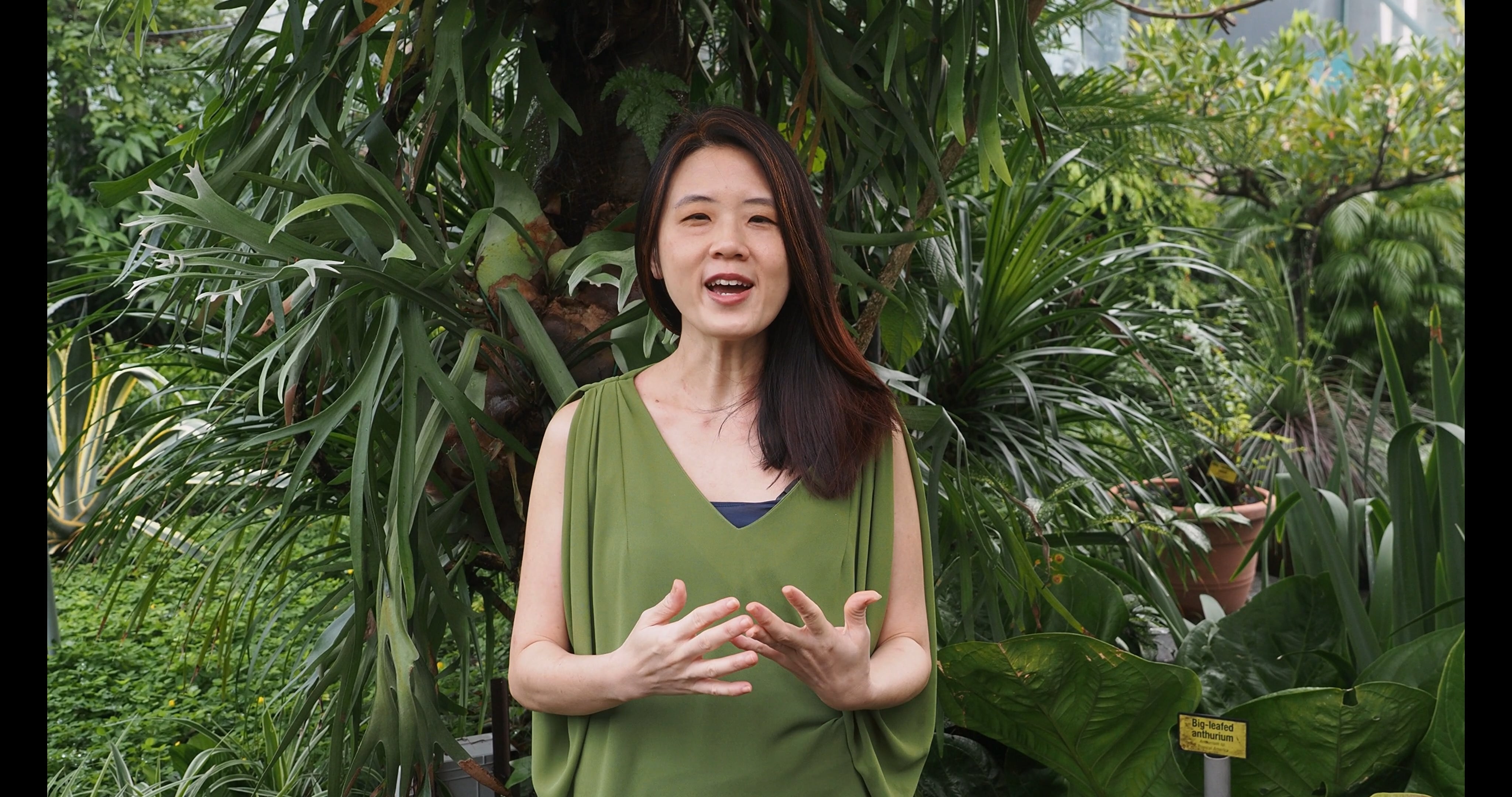 S1E8 Inside a Secret Rooftop Garden Where Rainforest Meets Research