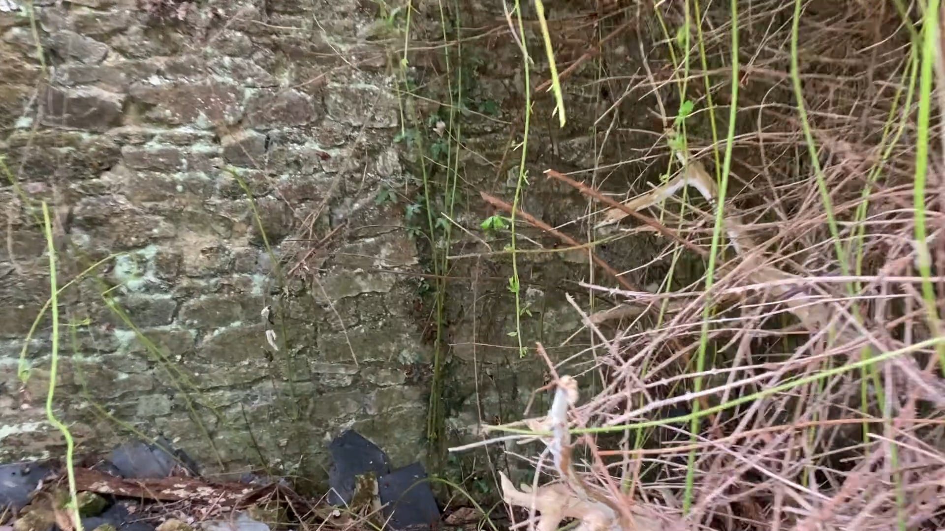 S1E3 We Found a Barrel of Wine