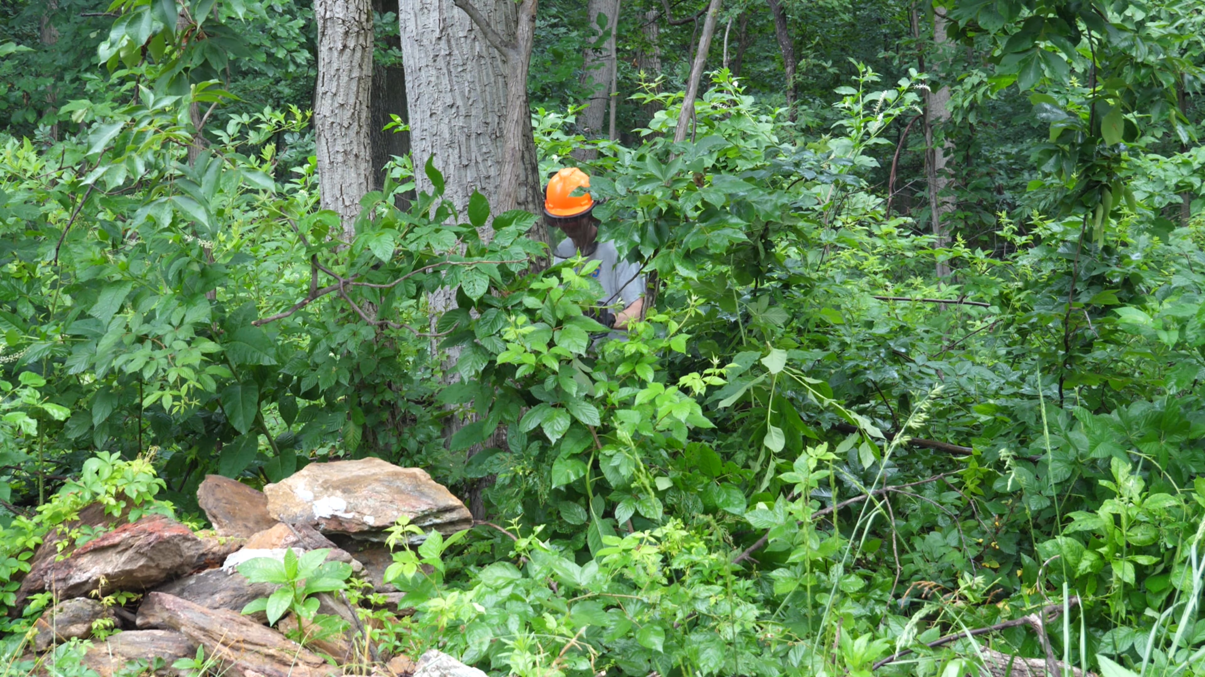 S2E13 Buying $30k in Lumber - Getting Ready to Frame