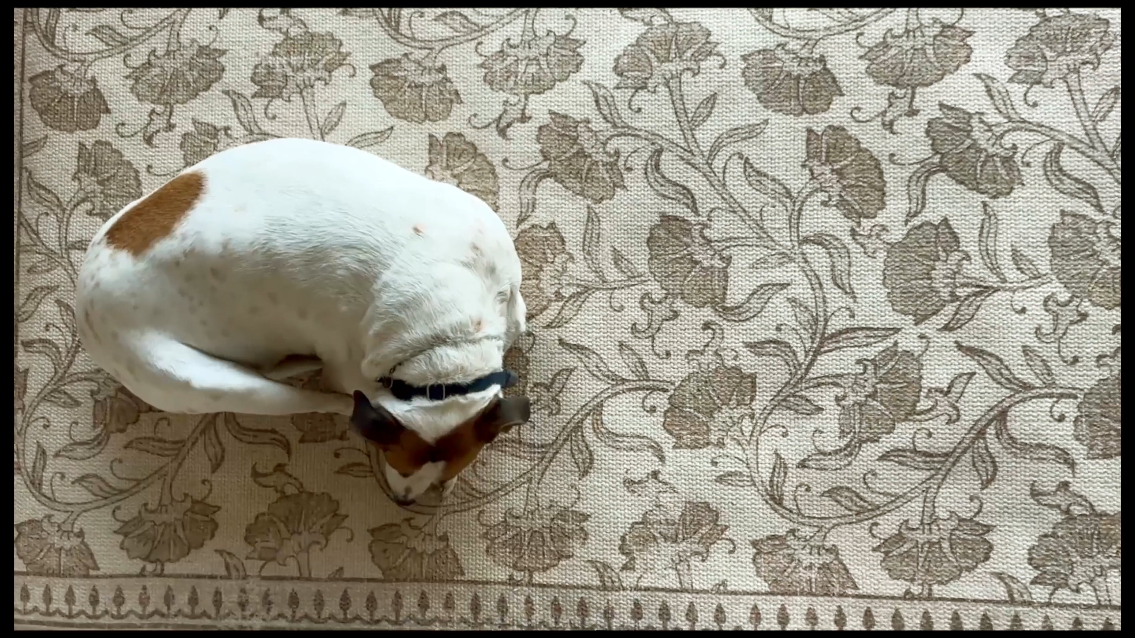 S2E11 The House Is Finished—and Life Finally Settles In