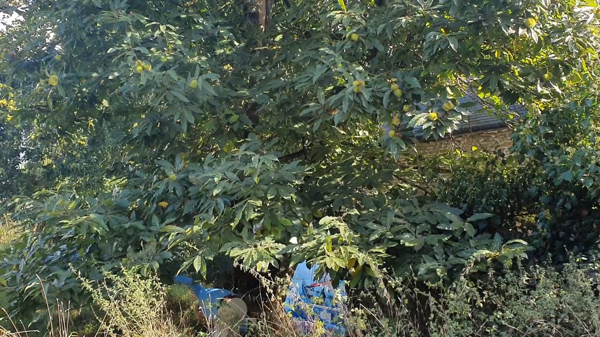 S1E 10 Reviving a Heritage Property in England