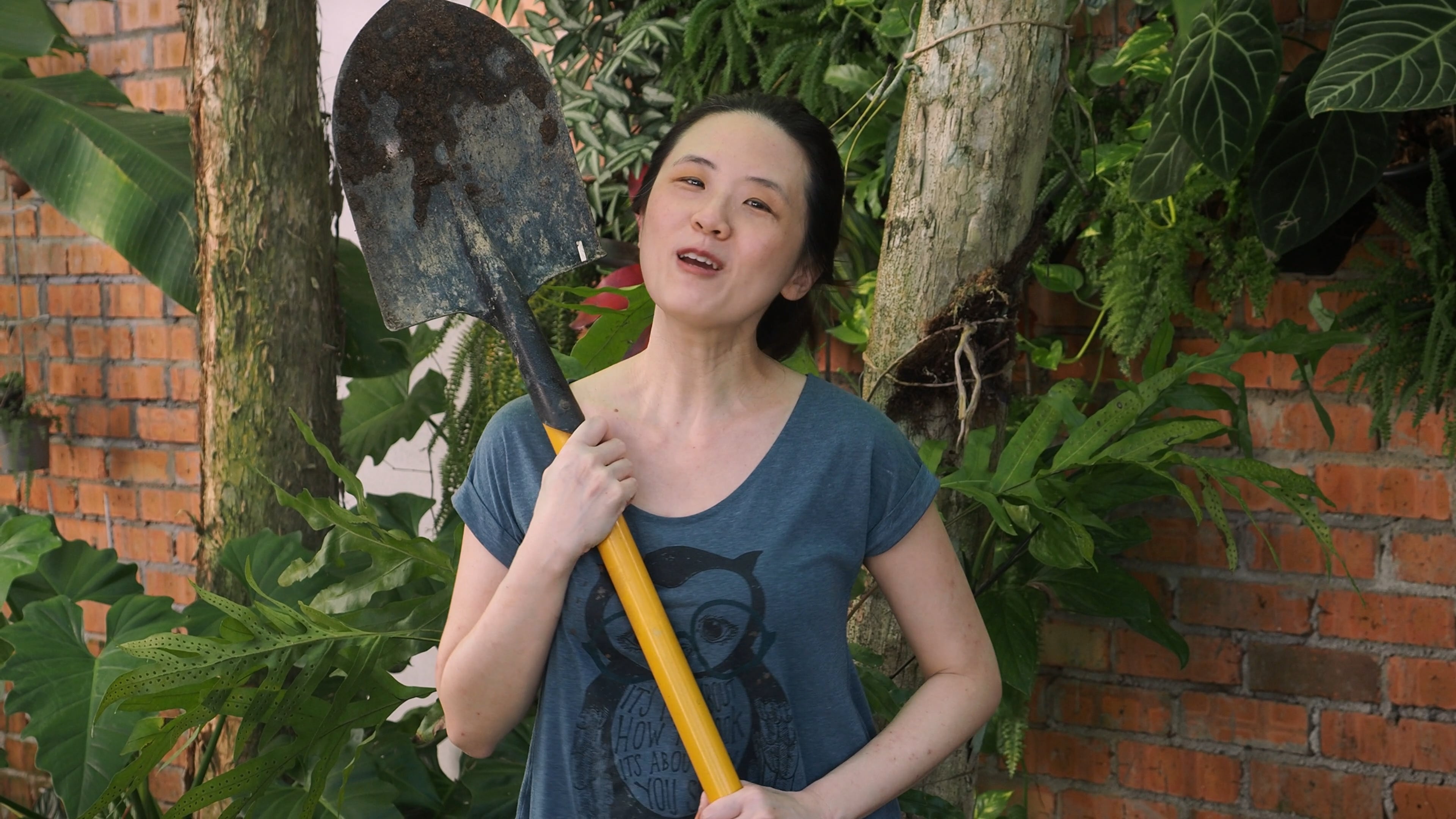 S1E4 Tiny Tropical Garden Makeover!