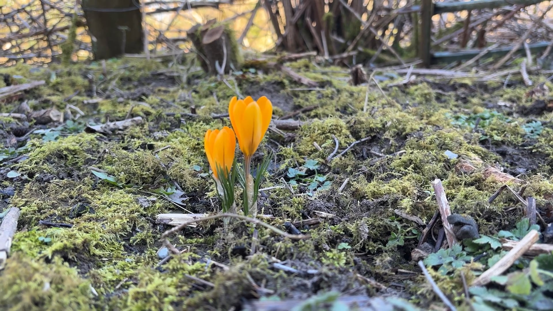 S1E17 Spring Brings Stone Laying, Compost Bays, and New Farm Projects