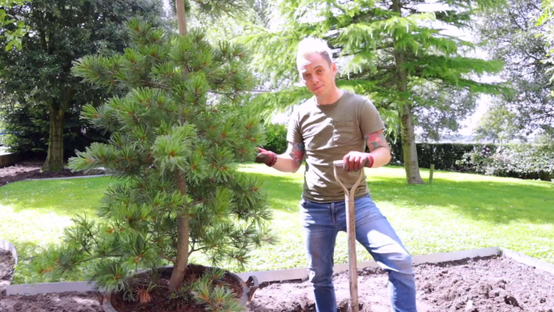 Essential Guide to Tree Planting