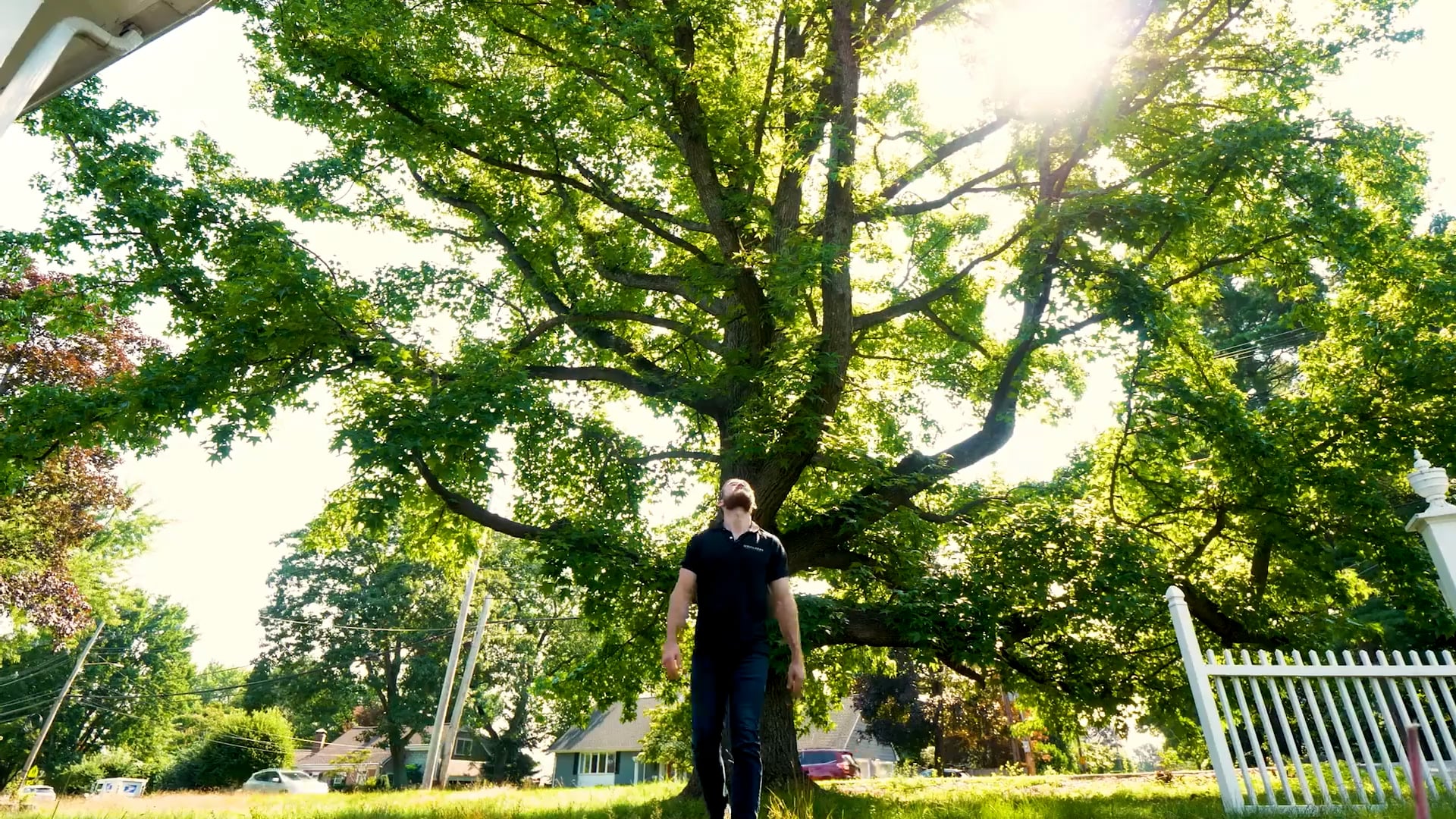 S1E1 New Build Around an Ancient Tree (Global)