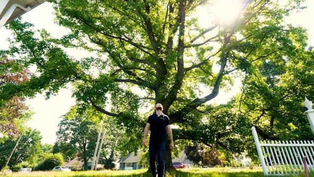 S1E1 New Build Around an Ancient Tree...