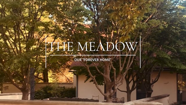 S1E7 Windows are In