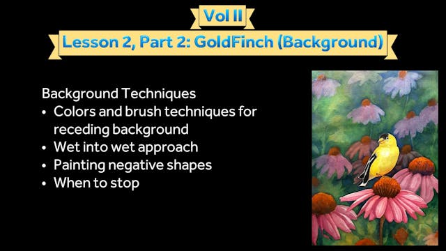 Vol II Lesson 2 Part 2: Goldfinch (Background)
