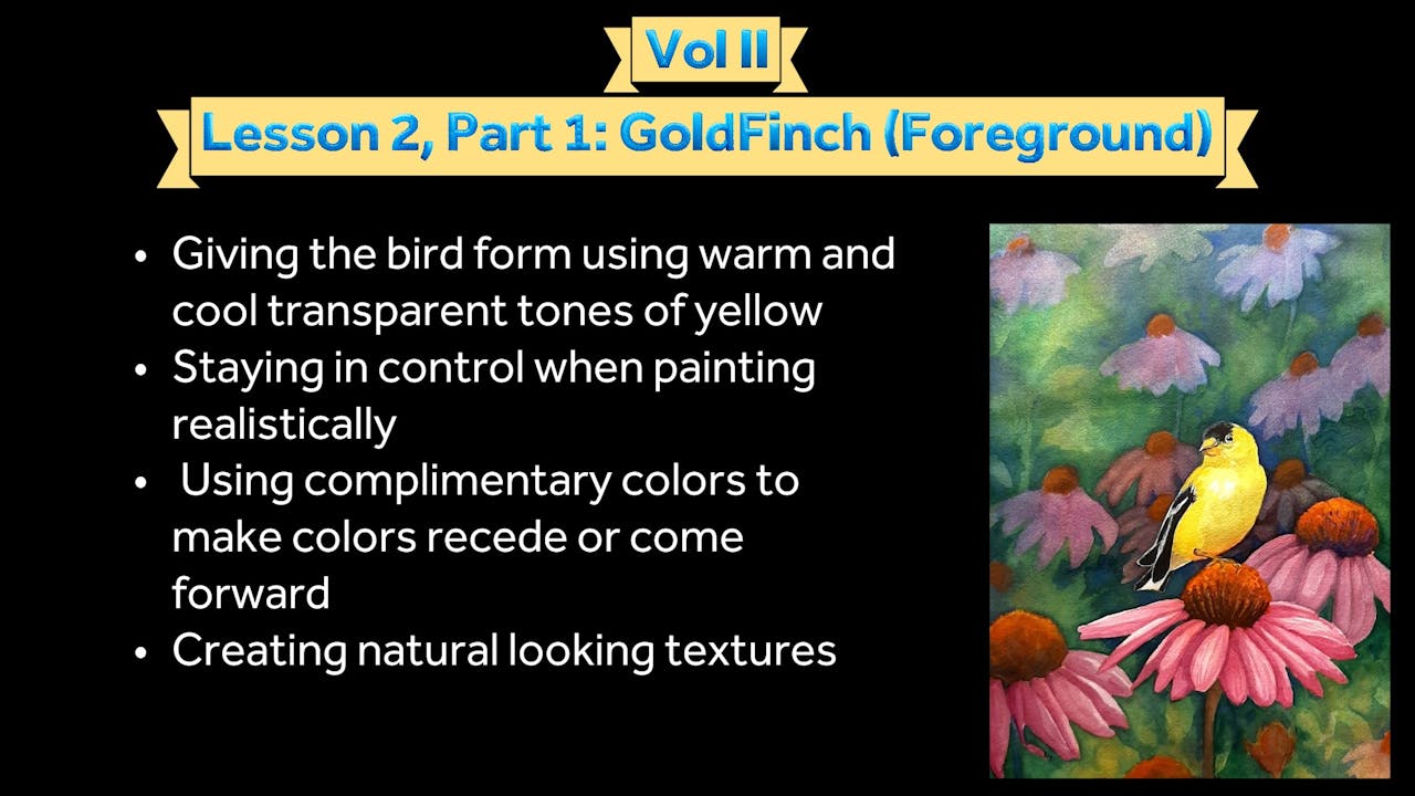 Volume II Lesson 2 Part 1:, Goldfinch (Foreground)
