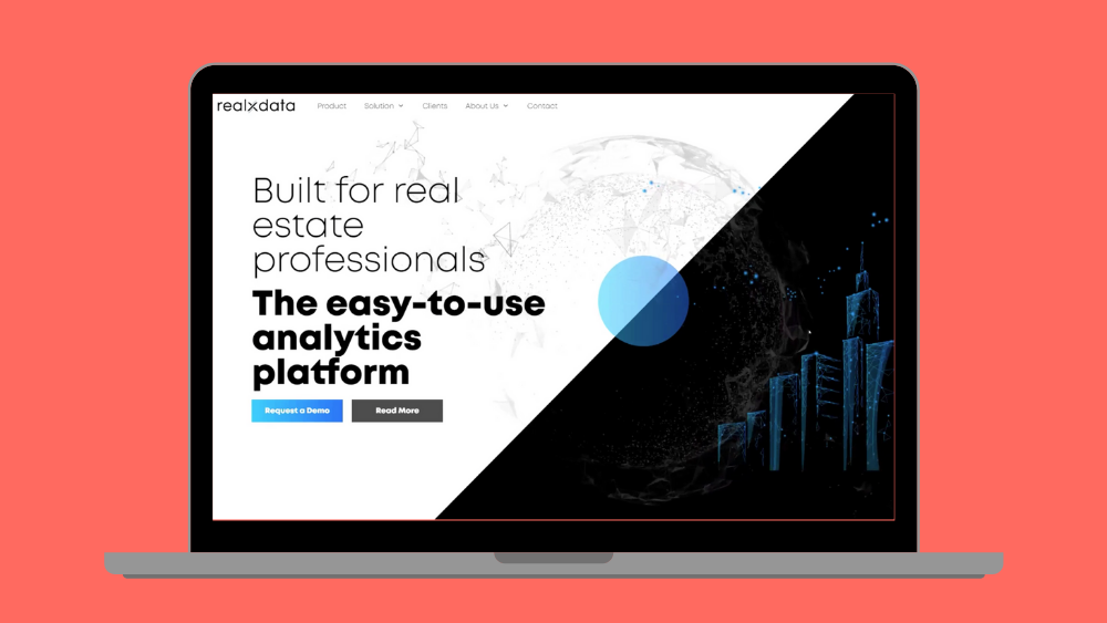 Virtual Demo Day - realxdata