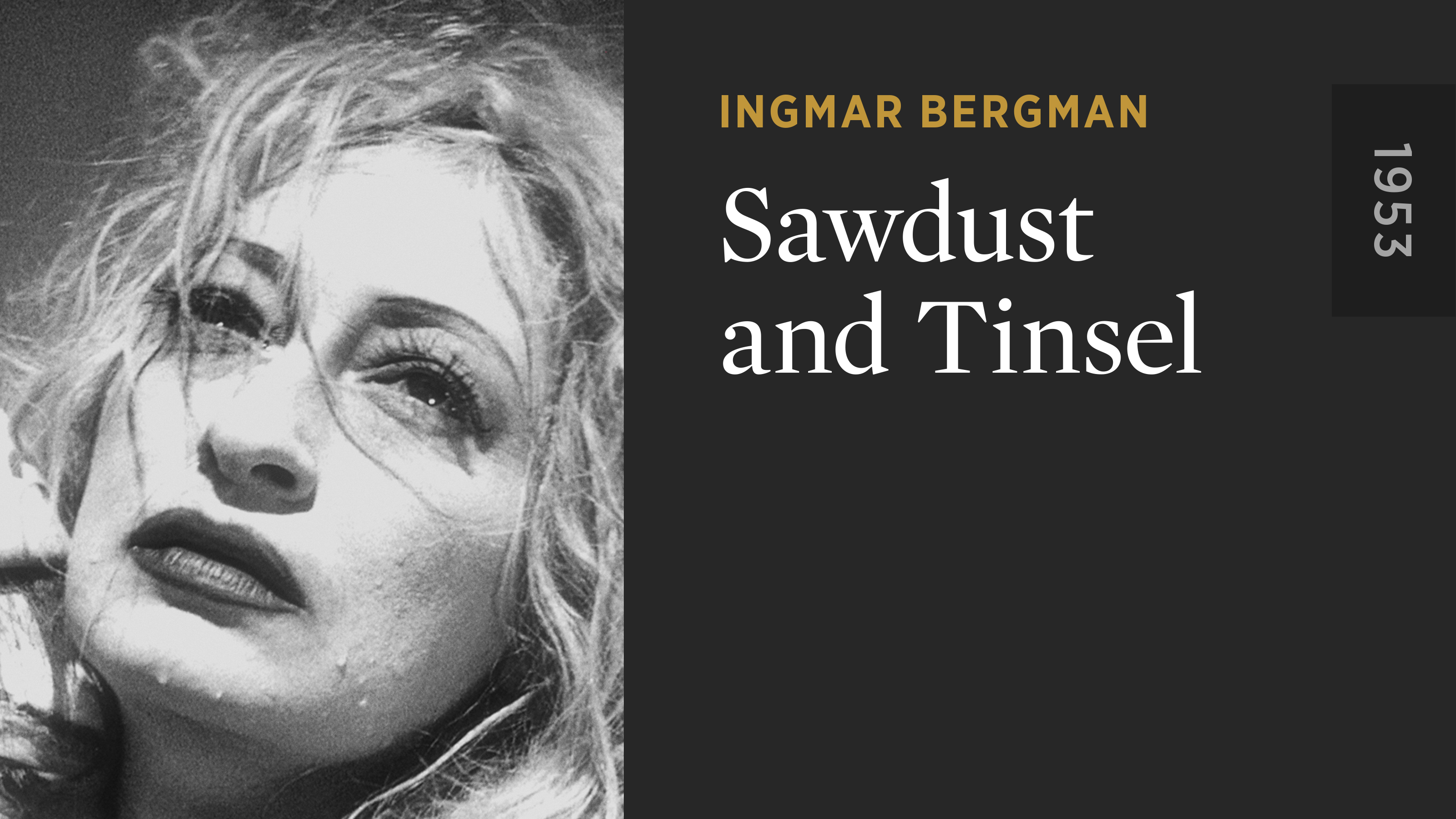 Sawdust and Tinsel