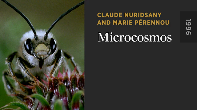 Microcosmos - The Criterion Channel