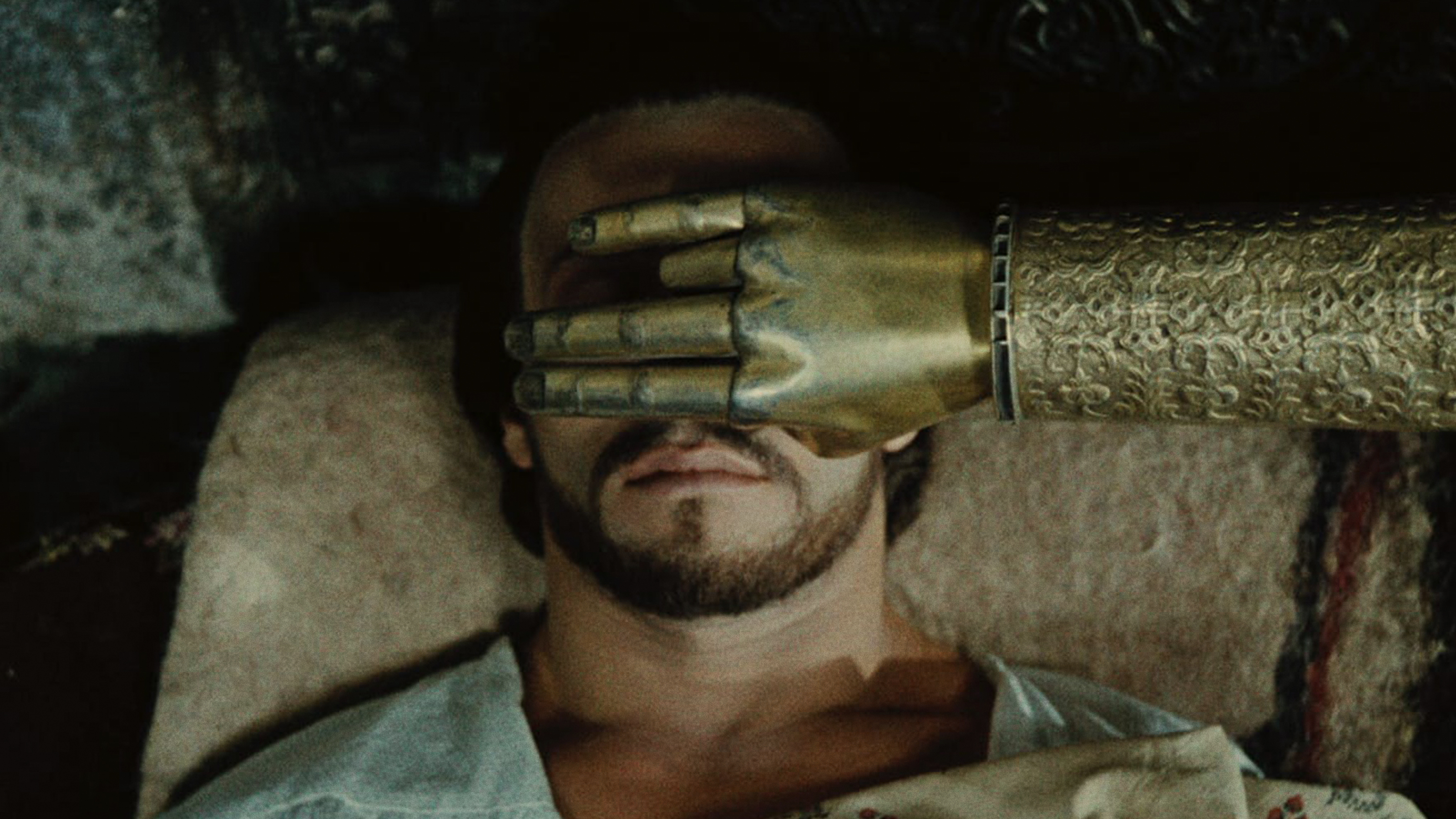 THE COLOR OF POMEGRANATES Commentary